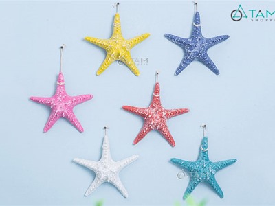 Sao biển trang trí 6 màu ĐK12-13cm [Composite - Có dây treo] SAOBIEN-02